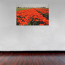 Cuadro Decorativo Primavera, Tulipanes naranjas