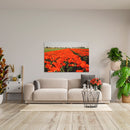 Cuadro Decorativo Primavera, Tulipanes naranjas