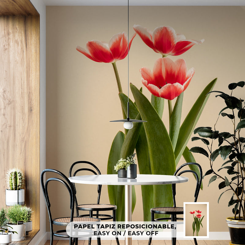 Decorativo, tulipanes rojos