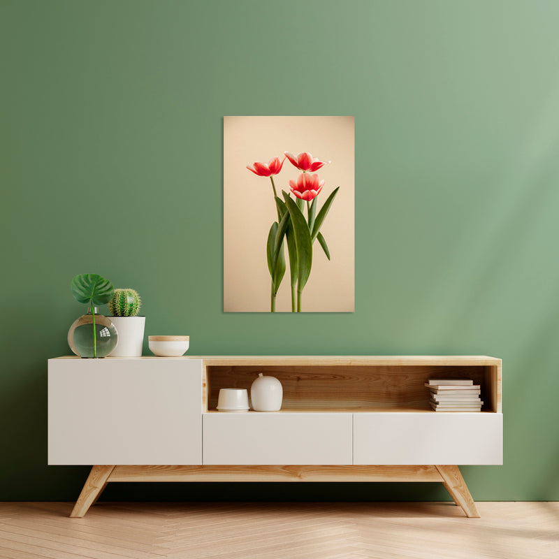 Cuadro Decorativo Minimalista, tulipanes rojos