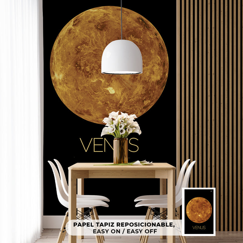 Cuadro Decorativo Espacial, planeta Venus