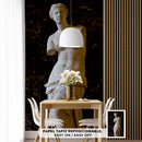 Cuadro Decorativo Monumento, La Venus de Milo, fondo negro