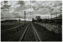 Cuadro Decorativo Vía del tren, blanco y negro