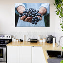 Cuadro Decorativo Uvas