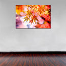 Cuadro Decorativo hojas de maple
