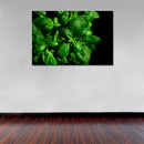 Cuadro Decorativo Verde