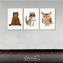 Cuadro Decorativo Set de 3