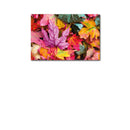 Cuadro Decorativo hojas de colores