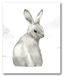 Cuadro Decorativo Conejo