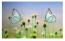 Cuadro Decorativo Mariposas
