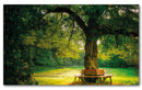Cuadro Decorativo Paisaje, Banca en el árbol
