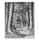 Cuadro Decorativo Into the Woods