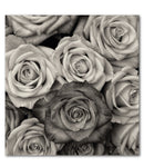 Cuadro Decorativo Rosas