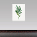 Cuadro decorativo planta