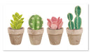 Cuadro Decorativo Suculentas