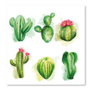 Cuadro Decorativo Cactus