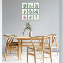 Cuadros decorativos variedad de plantas