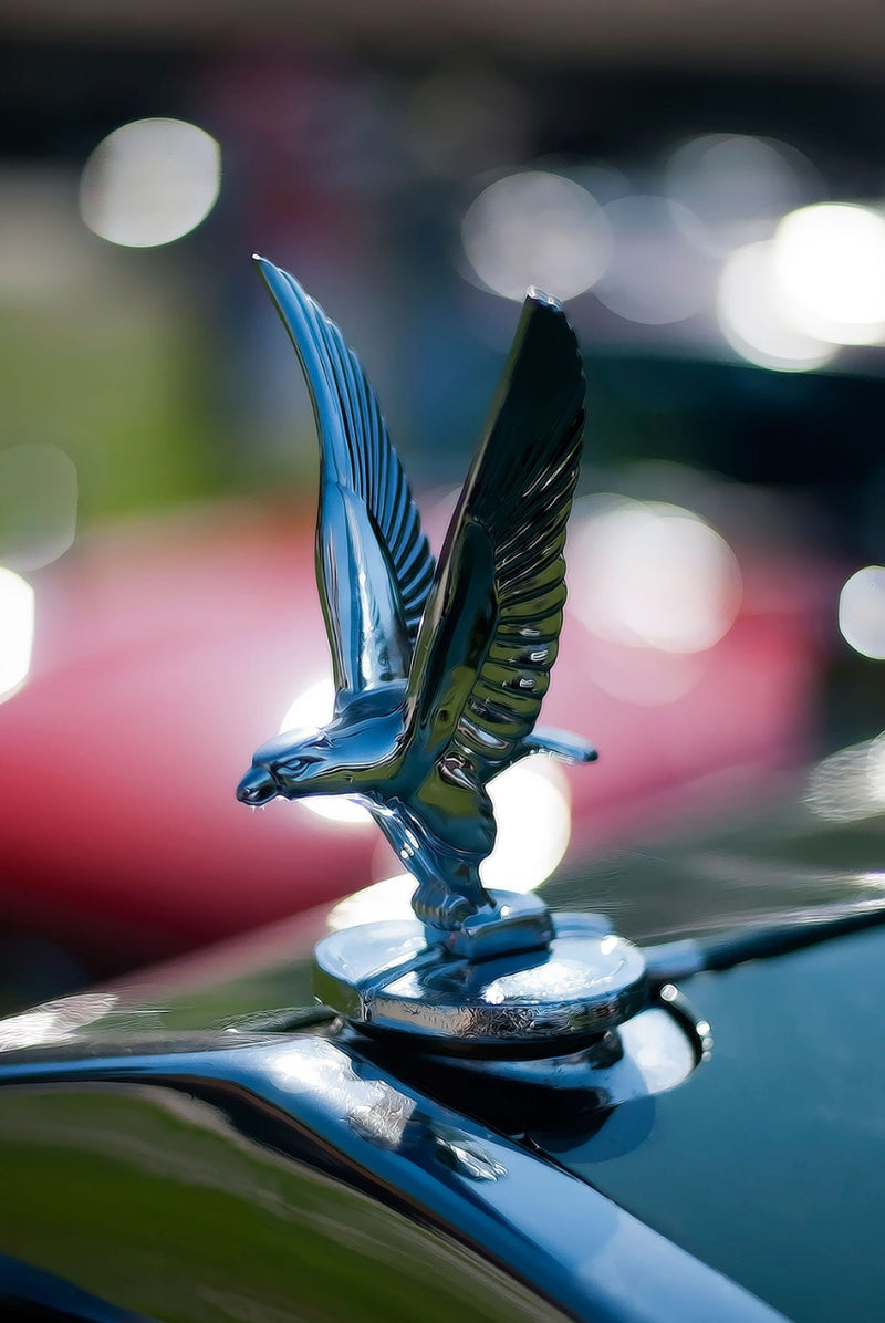 Cuadro Decorativo Ornamento águila carro clásico