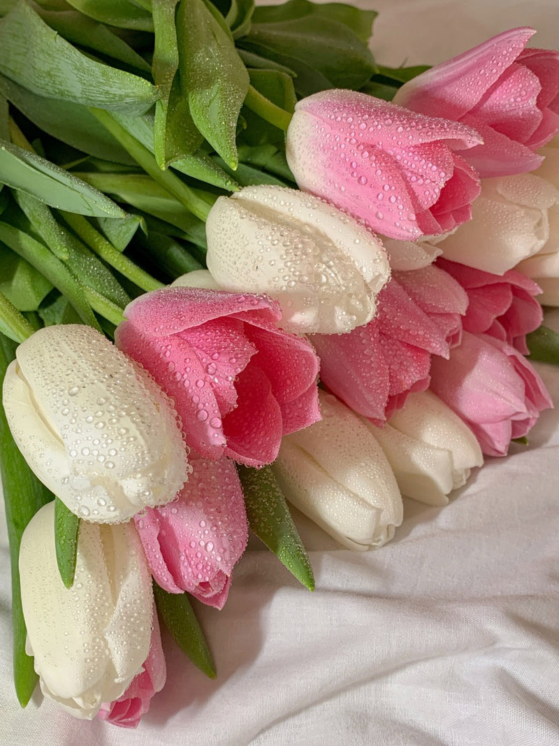 Cuadro Decorativo Floral Rosas blancas y rosadas