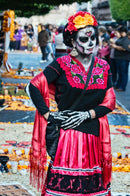 Cuadro Decorativo México Catrina