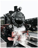 Cuadro Decorativo Locomotora 1784-0