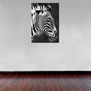 Cuadro Decorativo cebra blanco y negro