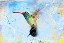 Cuadro Decorativo Abstracto, Colibrí