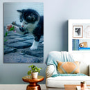 Cuadro Decorativo Pequeño gato