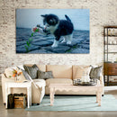Cuadro Decorativo Pequeño gato