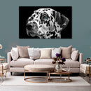 Cuadro Decorativo Dálmata
