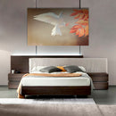 Cuadro Decorativo Paloma