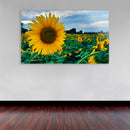 Cuadro Decorativo Girasol