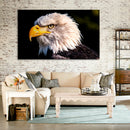 Cuadro Decorativo  Eye