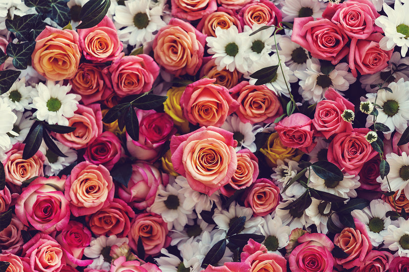 Cuadro Decorativo Floral Rosas de color