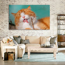 Cuadro Decorativo Gato naranja