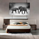 Cuadro Decorativo Elefantes