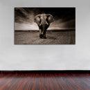 Cuadro Decorativo Majestuoso elefante