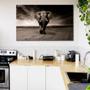 Cuadro Decorativo Majestuoso elefante