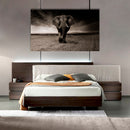 Cuadro Decorativo Majestuoso elefante