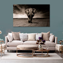 Cuadro Decorativo Majestuoso elefante