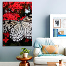 Cuadro Decorativo Mariposa Colorida