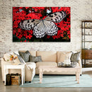 Cuadro Decorativo Mariposa Colorida