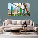 Cuadro Decorativo Pericos