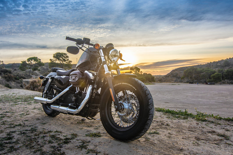 Cuadro Decorativo Moto Harley Davidson atardecer