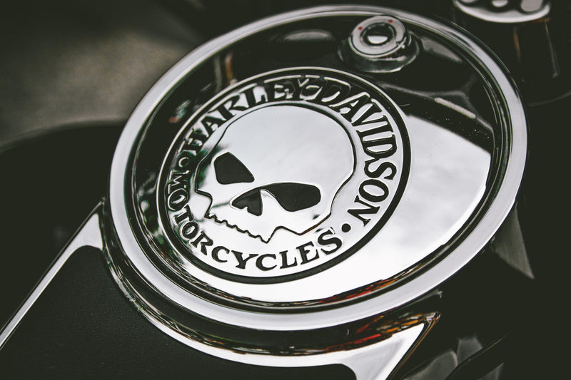 Cuadro Decorativo Motos logo Harley Davidson