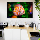 Cuadro Decorativo Pez