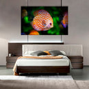 Cuadro Decorativo Pez