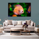 Cuadro Decorativo Pez