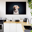 Cuadro Decorativo Labrador