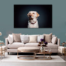 Cuadro Decorativo Labrador